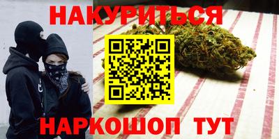 дмт Гай