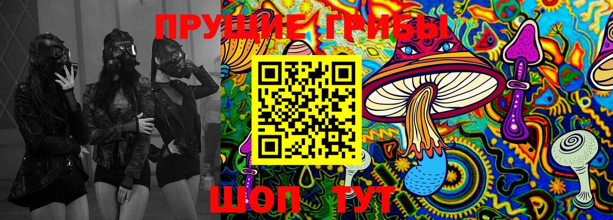Псилоцибиновые грибы Magic Shrooms  Вход с VPN  Псилоцибиновые грибы MAGIC MUSHROOMS  Нальчик 